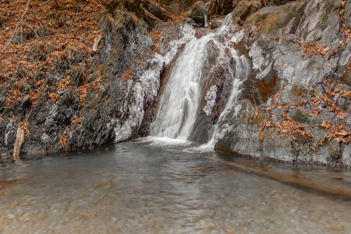 小菅村の源流水が流れる沢の風景